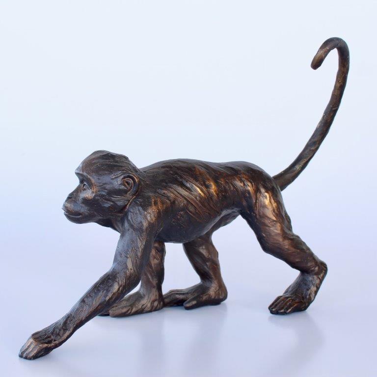 Monkey With Long Tail